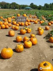 Applecrest Farm Orchards