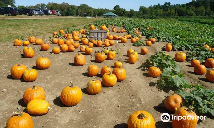 Applecrest Farm Orchards