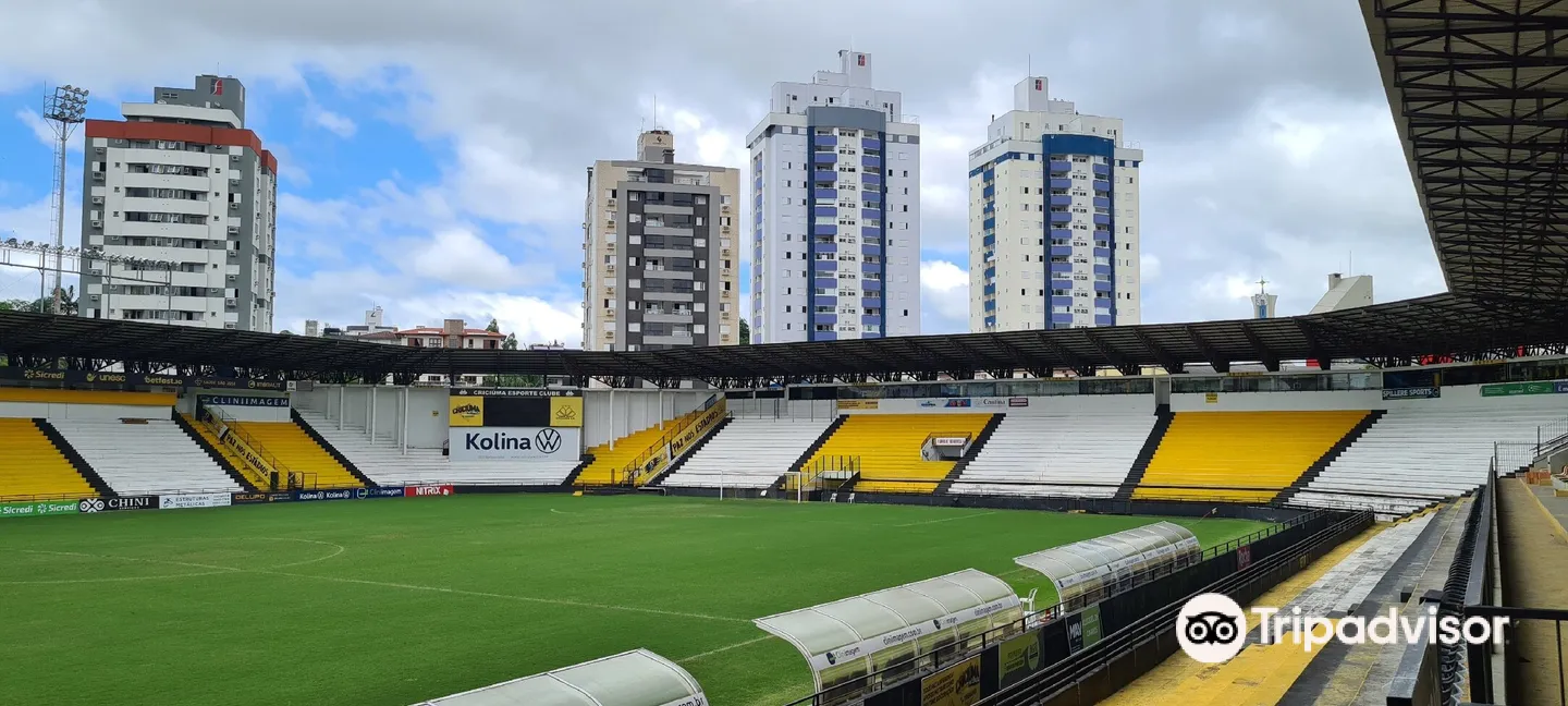 4_Stadium Heriberto Hülse (Majestic)