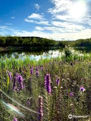 Cedar Ridge Preserve managed by Audubon Dallas.