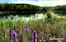 Cedar Ridge Preserve managed by Audubon Dallas.