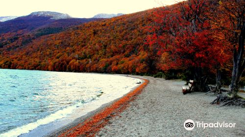 Lago Roca