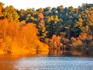 Ogden Water Country Park