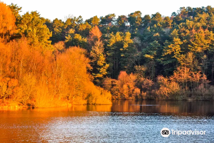 Ogden Water Country Park