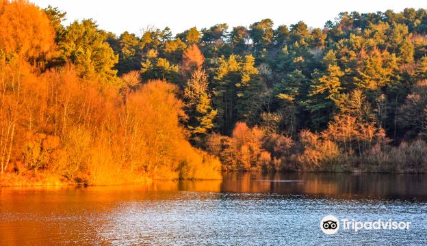 Ogden Water Country Park