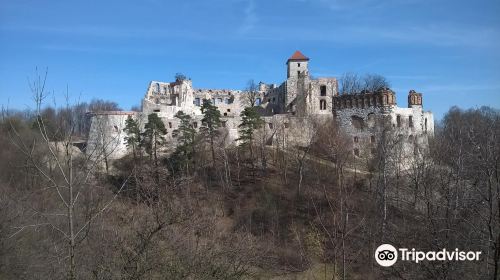 Tenczyn Castle