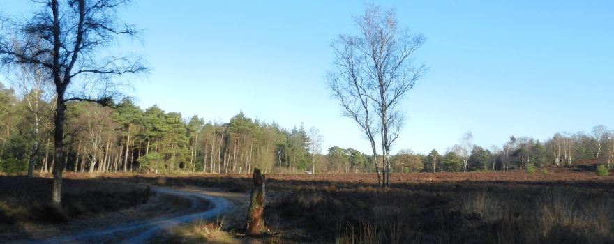 Heerde