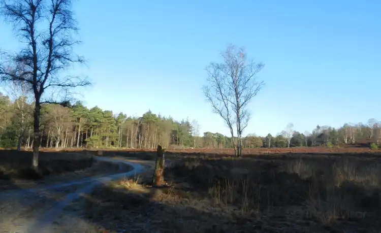 Hôtels à : Heerde
