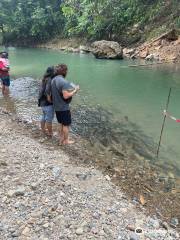 Sungai Moroli Fish Massage