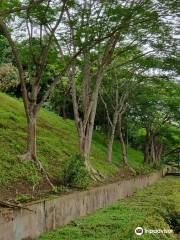 Leisure Zone and Sculpture Garden