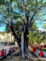 Zócalo (Plaza de la Constitución)