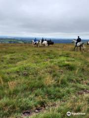 Cholwell Riding Stables