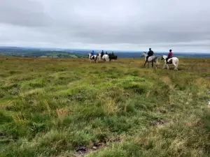 Cholwell Riding Stables.