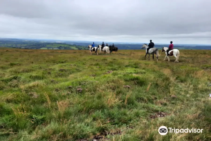 Cholwell Riding Stables.