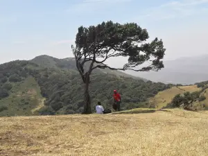 응공 힐스 포레스트 보호지역