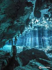 Diving Cenotes