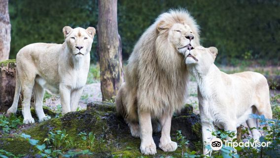 Ouwehands Zoo