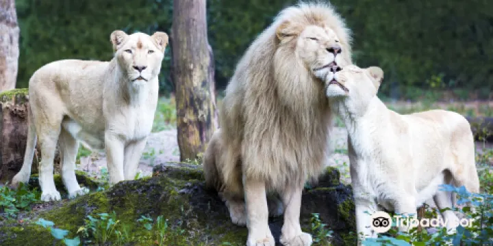 奧韋漢德動物園