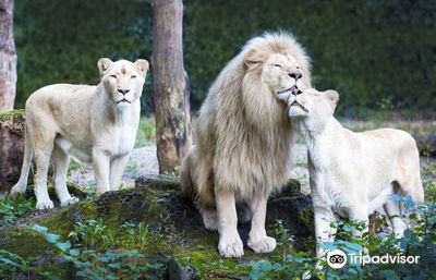 Ouwehands Zoo