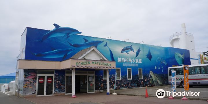 Echizen Matsushima Aquarium
