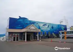 Echizen Matsushima Aquarium