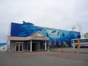 Echizen Matsushima Aquarium