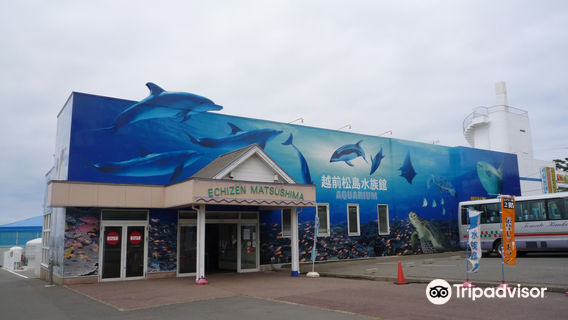 Echizen Matsushima Aquarium