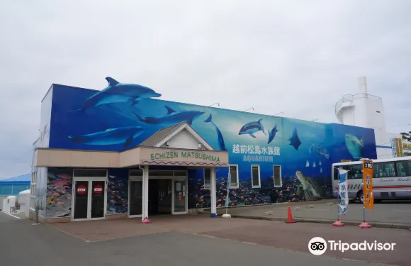 越前松島水族館門票小童（小學生、國中生）