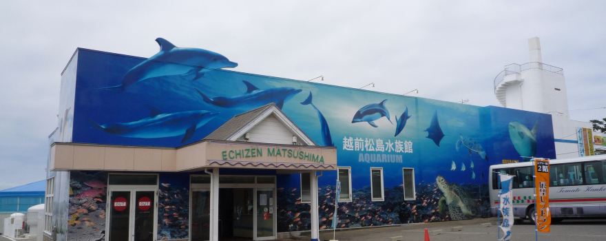 Echizen Matsushima Aquarium
