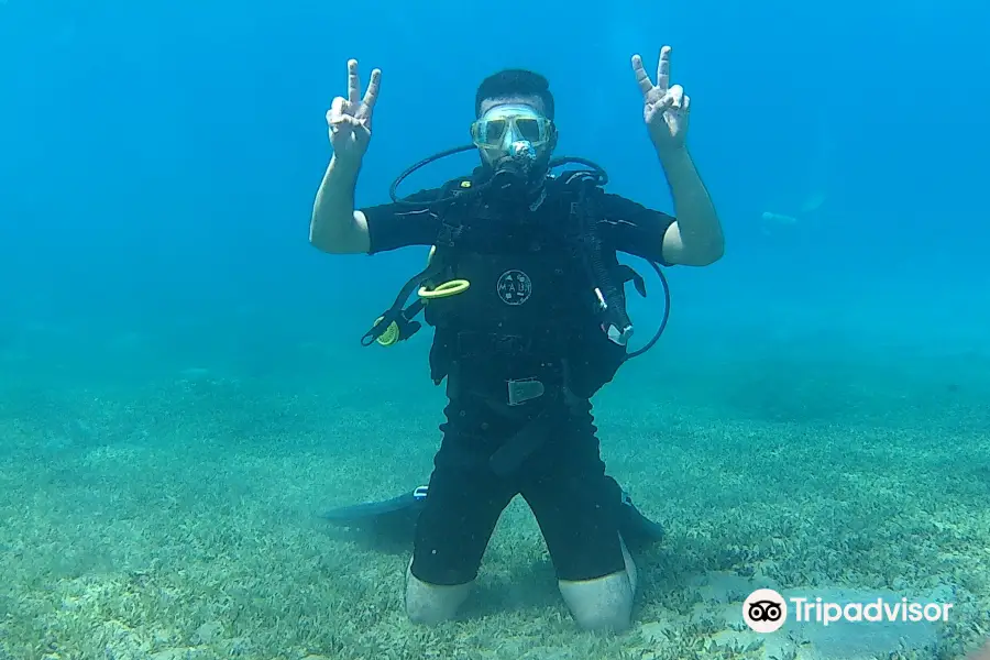 Aqaba Beach Academy For Diving