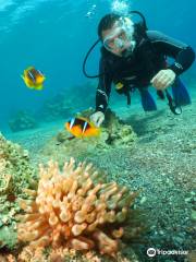 Nautilus Red Sea Scuba Diving