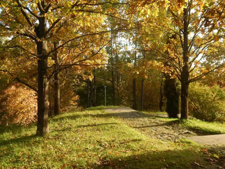 Hotels in Ogres pilsēta