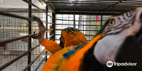 Parrot Island - Exotic Bird Sanctuary