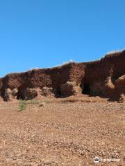 Reserva Forestal Chaviyu