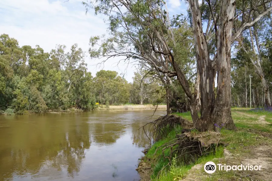 Murrumbidgee Valley National Park