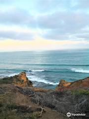 Reef Lookout