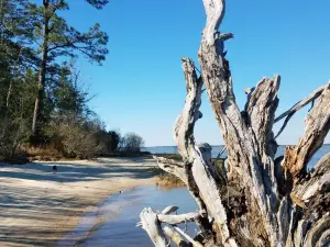 York River State Park