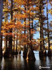 Hatchie National Wildlife Refuge