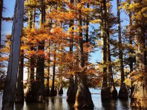 Hatchie National Wildlife Refuge