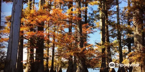 Hatchie National Wildlife Refuge