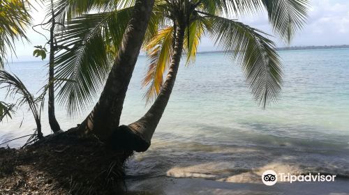 Starfish Beach