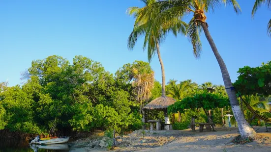 Laguna de Manialtepec