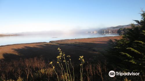 Birdwalk Coastal Access Trail