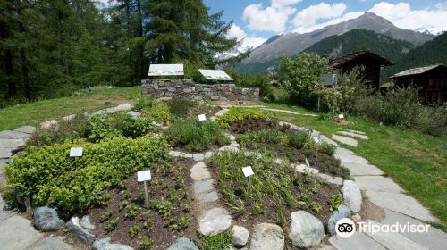 Ricola Herb Garden Zermatt
