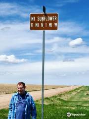 Mount Sunflower