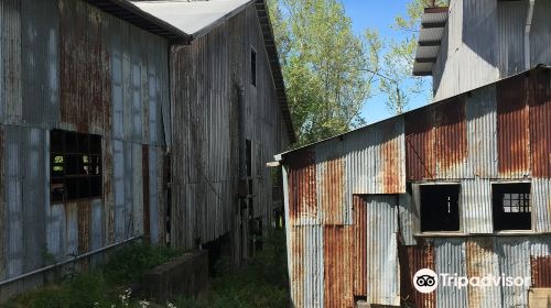 Southern Forest Heritage Museum