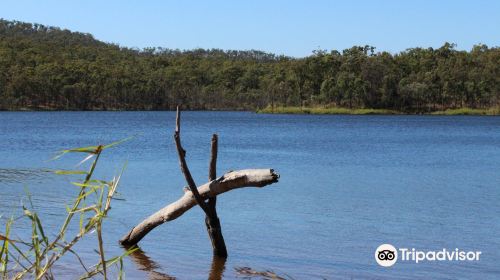 "Big" Mount Morgan Dam