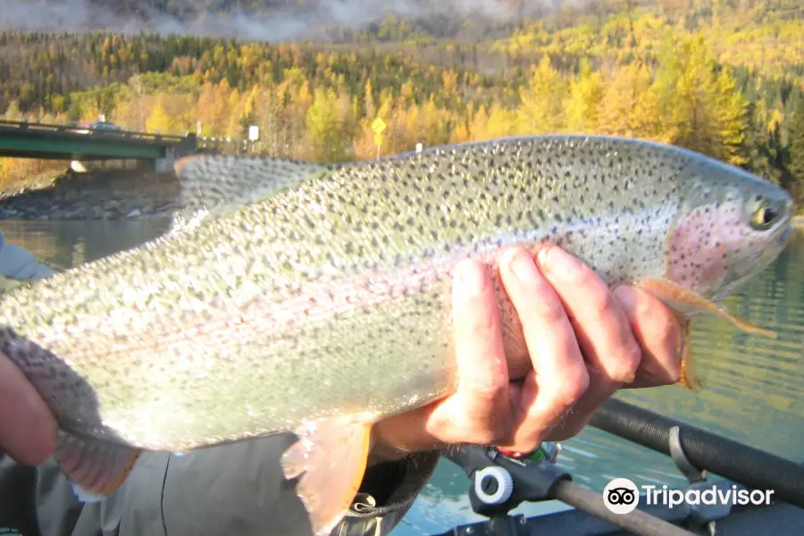 Kenai River Fly Fishing