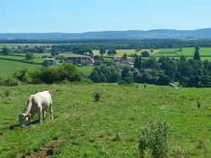 Taizé Community