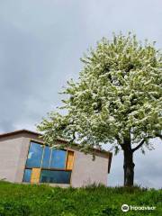 Planetarium South Tyrol